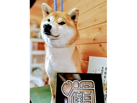 北天の千瑚号