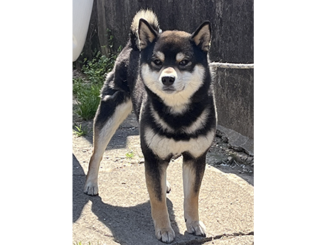 武州の鈴王号