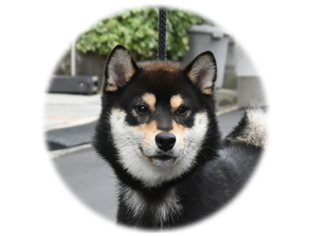 阿弥の爽鉄号