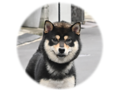 阿弥の希望号(美原阿弥荘)