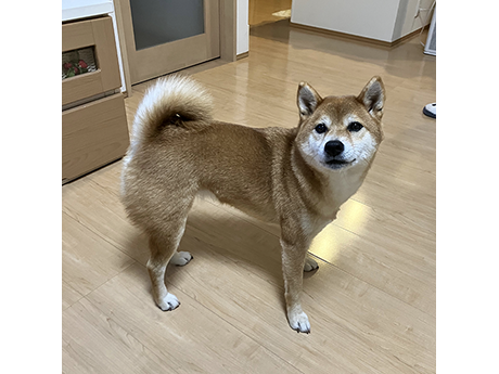 楓ちゃん４歳になりました