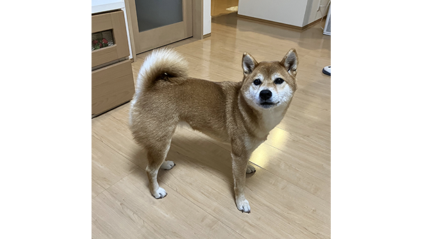 楓ちゃん４歳になりました