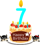 7歳のお誕生日ケーキ（黒オス）