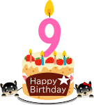 9歳のお誕生日ケーキ（黒柴メス）